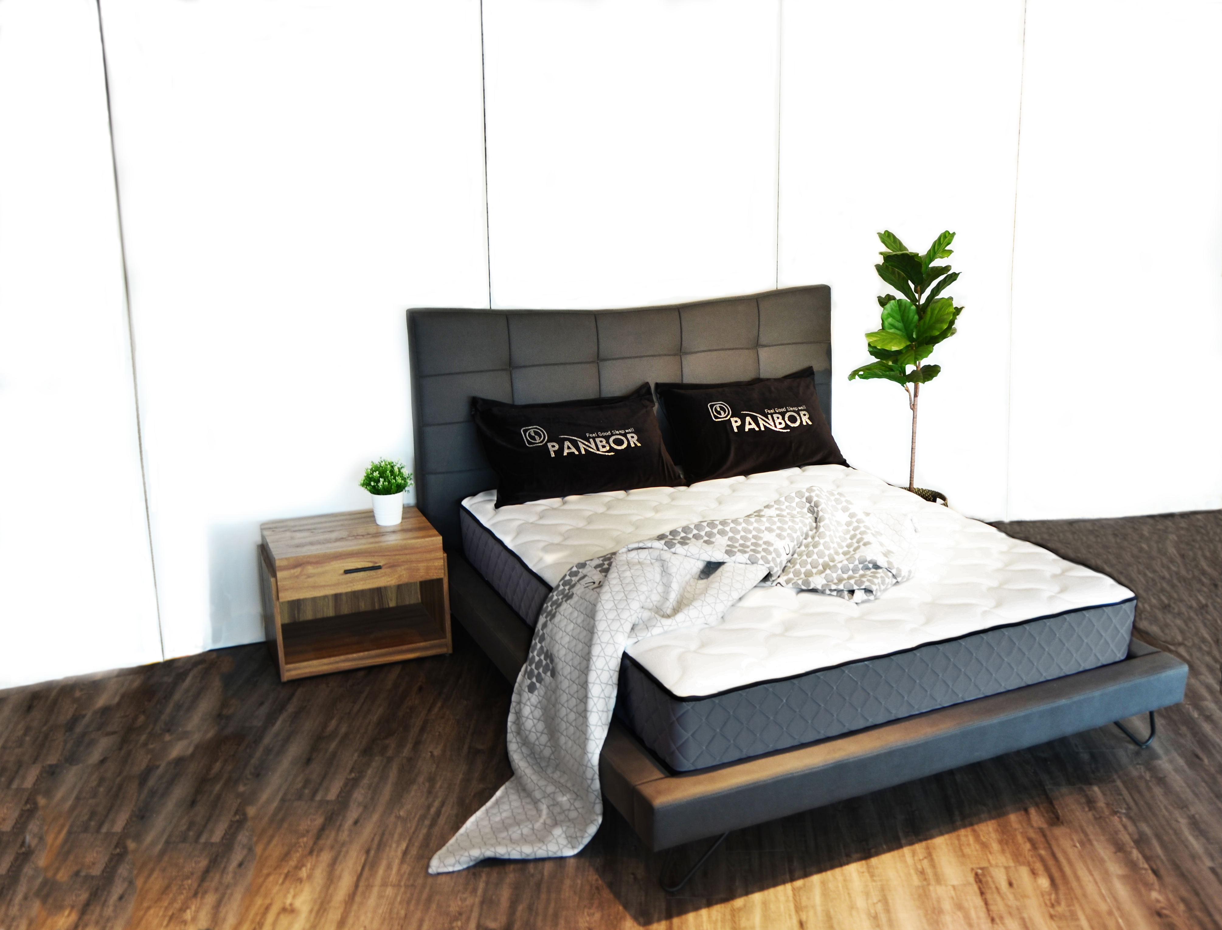 DreamDuck Comfort Zone